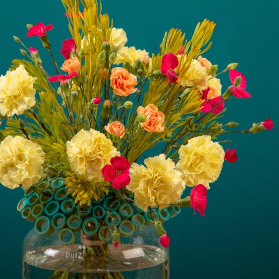 Colourful frame bouquet with cheerful carnations