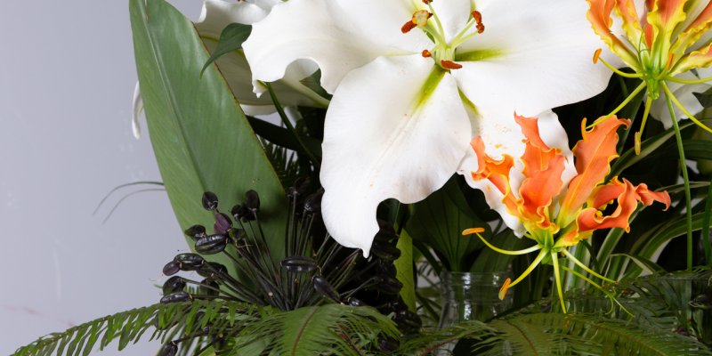 Odourless white Tourega lily in jungle style