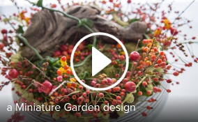 Schermafbeelding 2016 12 13 om 15.06.06