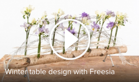 Schermafbeelding 2017 02 14 om 17.45.59