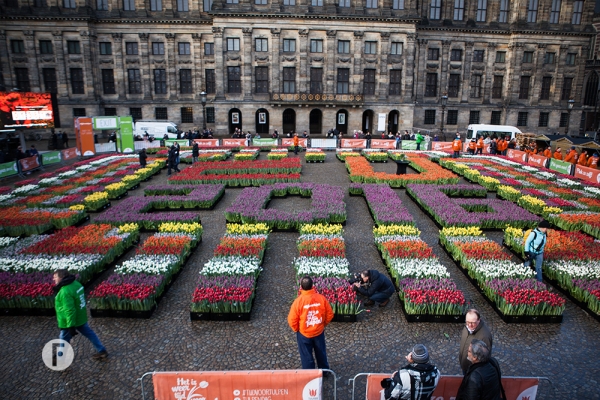 Tulpevent flowerfactor18