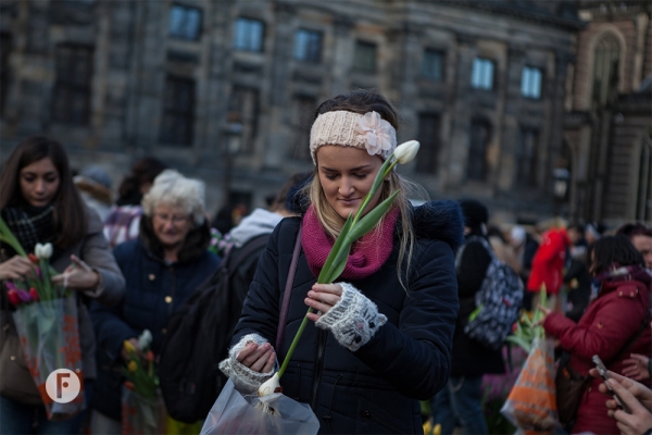 Tulpevent flowerfactor9