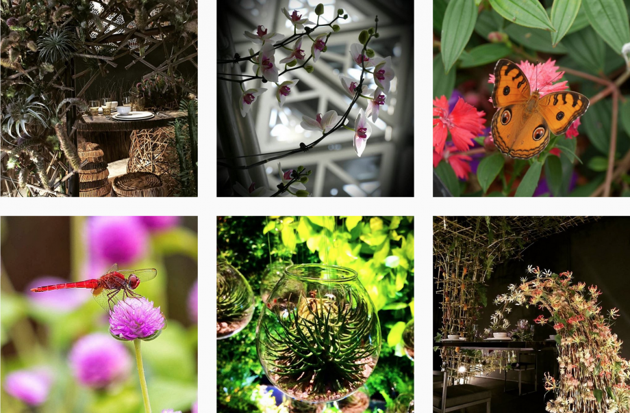 Schermafbeelding 2016 07 27 om 11.51.01