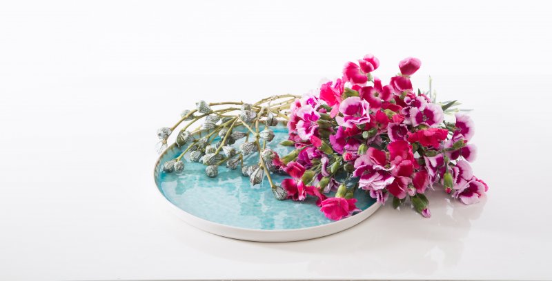 solomio design ingredients uitgesneden