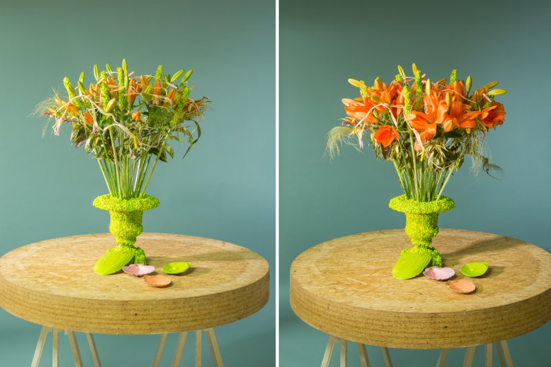 Step by Step Summery Sunderland lily arrangement Flower Factor