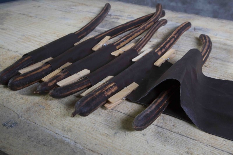 Fuerte Planta sbs1 Roos van Unen Hot Lips 3