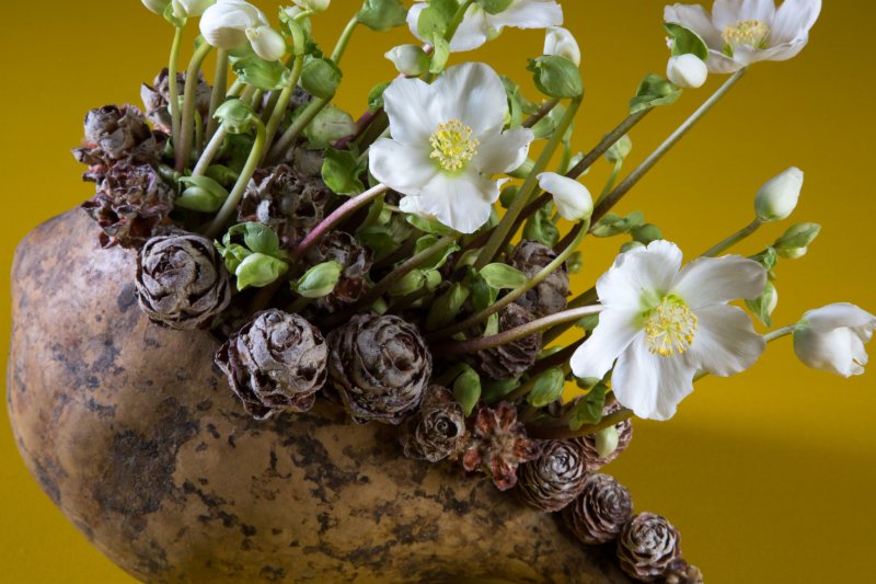 Verboom step by step design Pim van den Akker Hellebore and gourd close up end result
