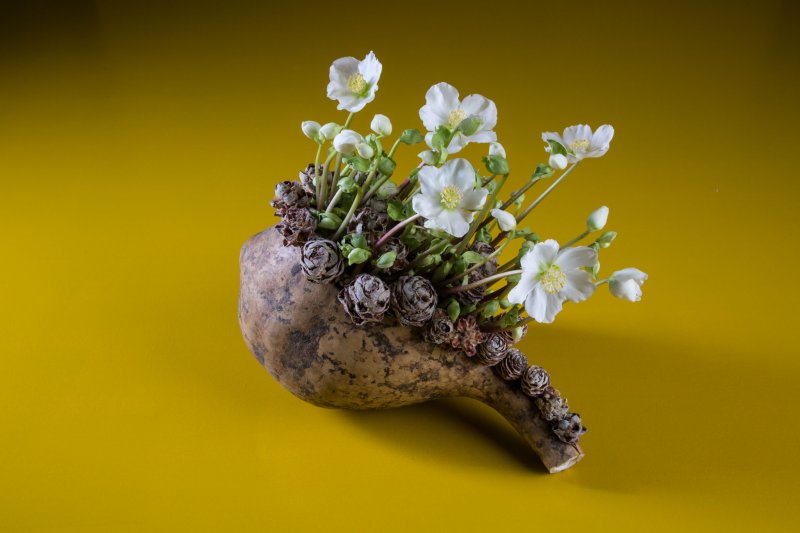 Verboom step by step design Pim van den Akker Hellebore and gourd step 3 end result