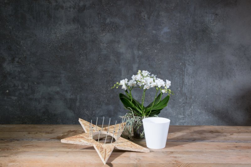 photo tutorial Wishing on a star orchid arrangement step 1
