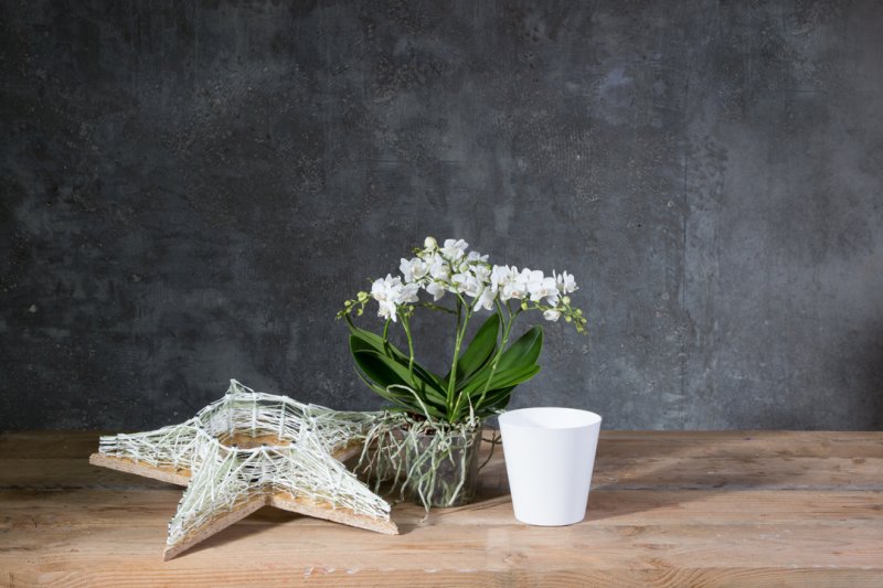 photo tutorial Wishing on a star orchid arrangement step 3