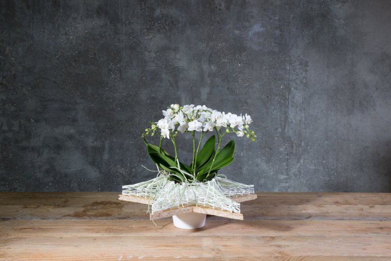 photo tutorial Wishing on a star orchid arrangement step 4