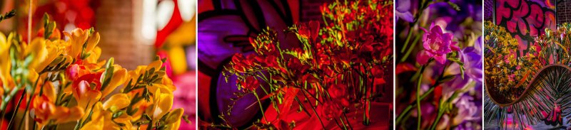 FreestyleFreesia at Fleuramour2018 Flower Factor 15b
