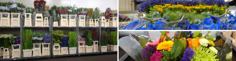 Bloemengroothandel Bab Star