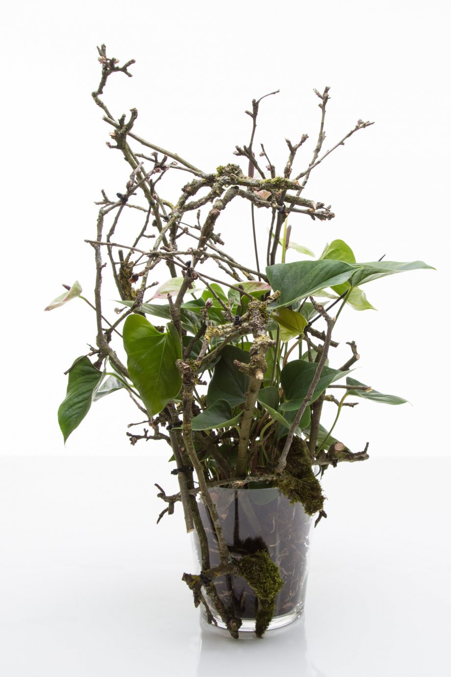 takjes met tiewraps geknipt 1