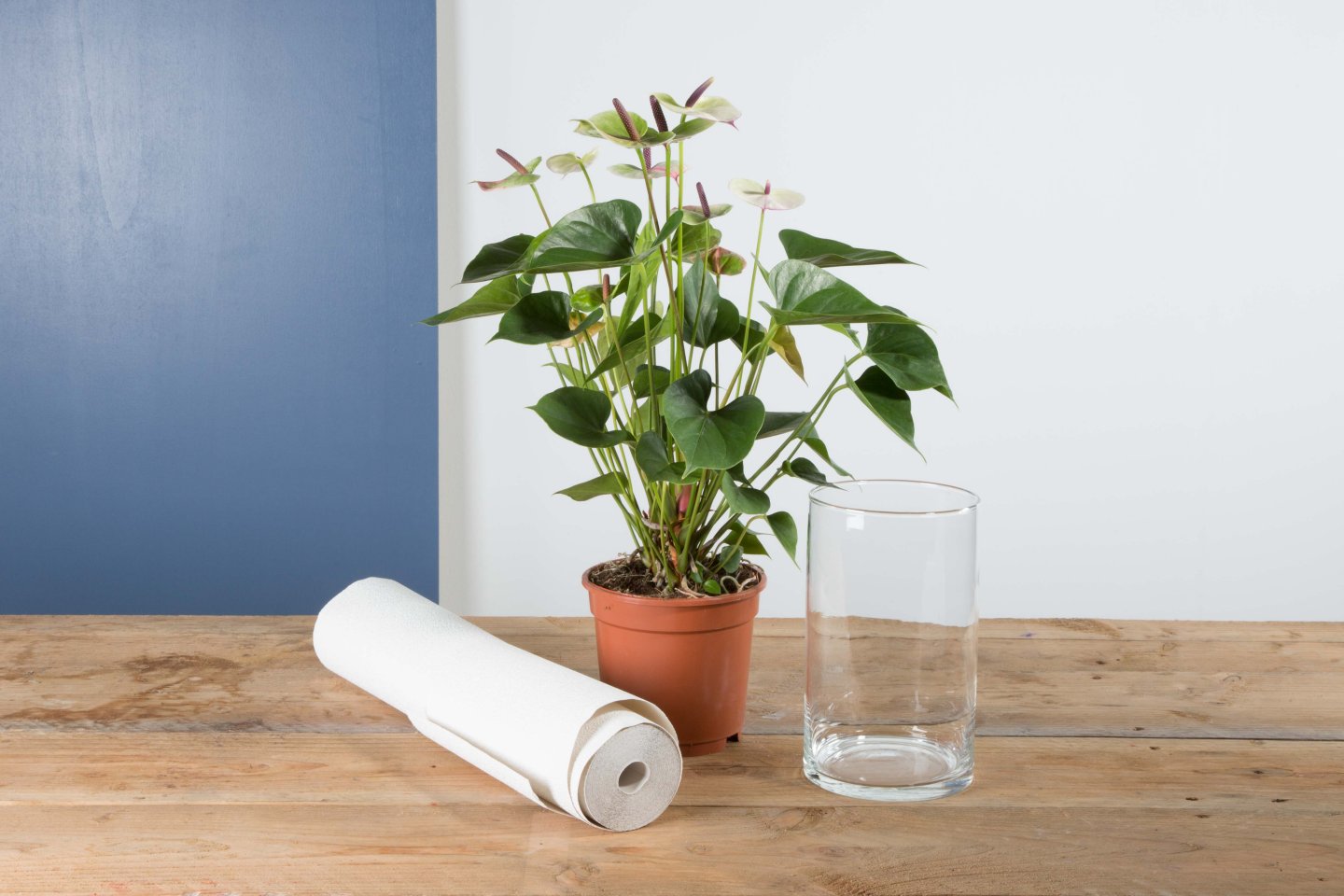 Step by step Anthurium plant design