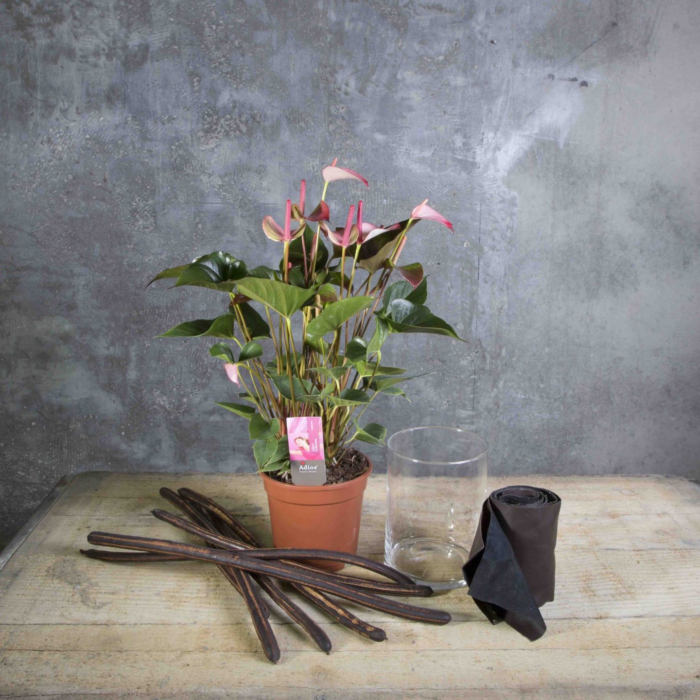 Step-by-step: Pink Anthurium design