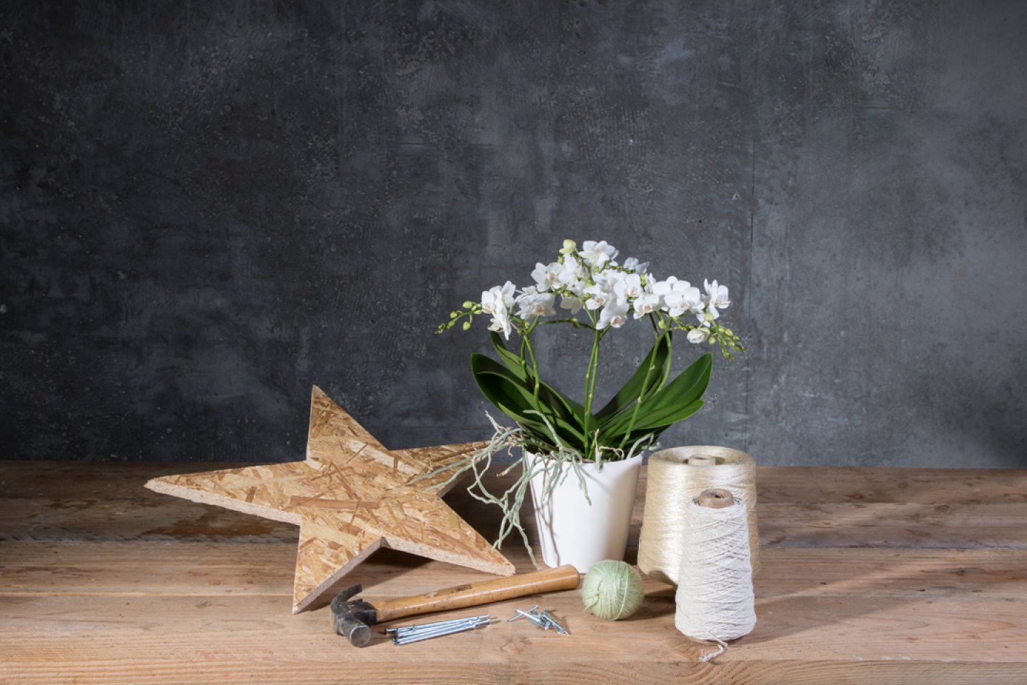 Photo tutorial - Wishing on a star