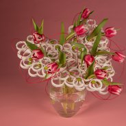 Sweet tulips