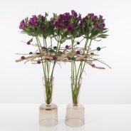 Perky two-piece Alstroemeria bouquet open flowers