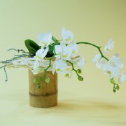 orchid arrangement idea Pim van den Akker Opti-flor