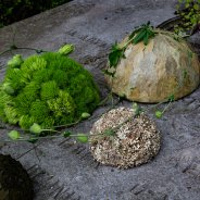 Tribute arrangement with Green Trick