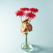 Mother's Day idea with Mi Queeni Juliëtte