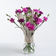 Trendy Dianthus bouquet in a vase