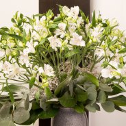 Alstroemeria winter bouquet - Pauline Brouwer - Flower Factor