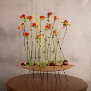 Fun and modern Freesia arrangement for Christmas