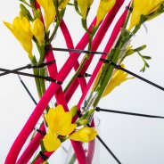 #FreestyleFreesia: Anneke Douma