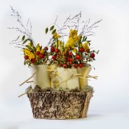 #FreestyleFreesia: Peter de Hoog