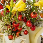 #FreestyleFreesia: Peter de Hoog