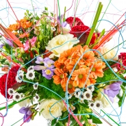 Melissa van Dort boven