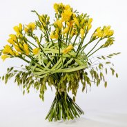 #FreestyleFreesia: Juanita van Doorenmaal