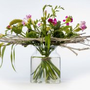 #FreestyleFreesia: Esther Van Zuidland