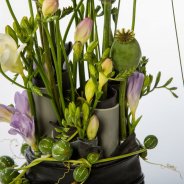 #FreestyleFreesia: Fiona Konings