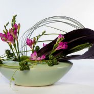 #FreestyleFreesia: Rowena Zudwijk