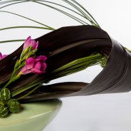 #FreestyleFreesia: Rowena Zudwijk