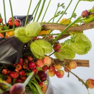 #FreestyleFreesia: Judith Ebbers