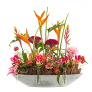 Stephanie Klockenbrink