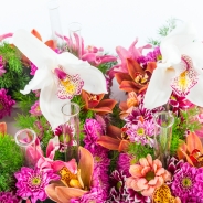 Stephanie en Eva close