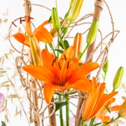 Agaath Julia Lia close