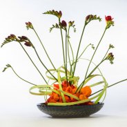 #FreestyleFreesia: Simone Oosterwijk