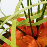 #FreestyleFreesia: Simone Oosterwijk