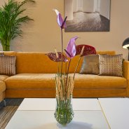 Cut Anthurium in a 'Modern' interior style