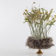 Luxurious #FreestyleFreesia