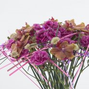 Special Dianthus bouquet - close-up