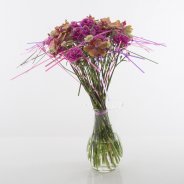 Special Dianthus bouquet