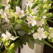 Alstroemeria winter bouquet - Pauline Brouwer - Flower Factor