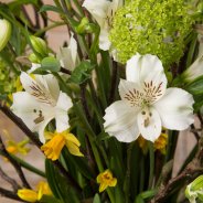 Alstroemeria spring bouquet